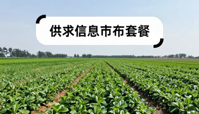 信息服务如何在实际场景中推动供求效率提升